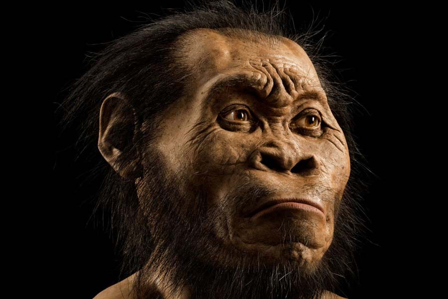 সেডিবা সত্যিই কি মানব সভ্যতার ইতিহাসের নতুন দিগন্ত খুলে দিয়েছে? আদিম আর আধুনিকের মাঝে কি রয়েছে সে সেতু হয়ে? সেই নিয়ে তর্ক-বিতর্ক এখনও চলছেই।