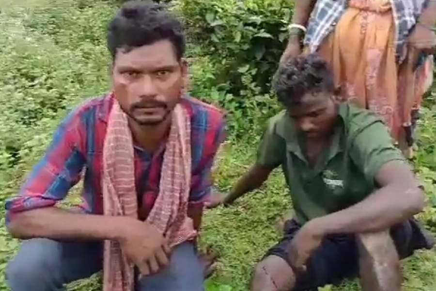 At least 12 people injured in Chopra dgtld