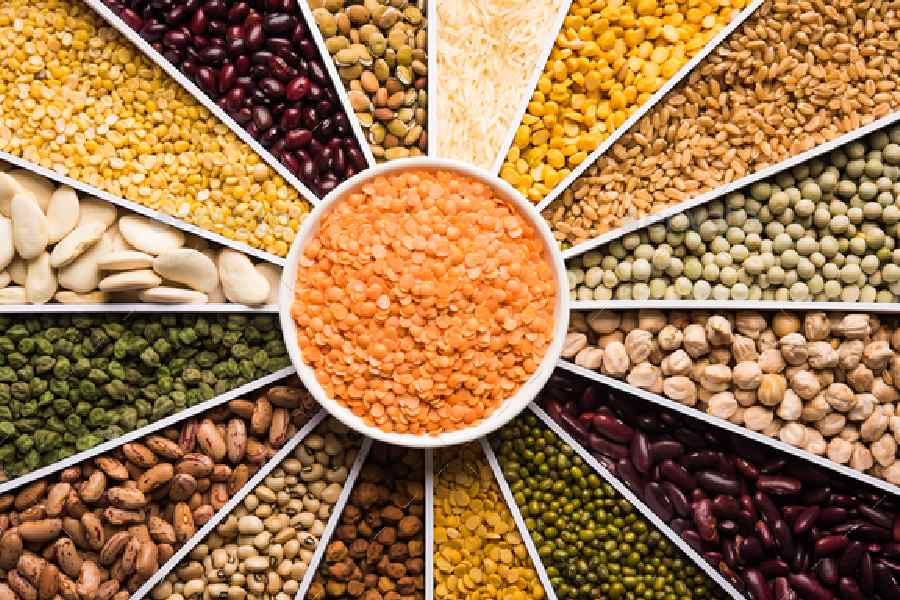 Image of Dal, Pulses.