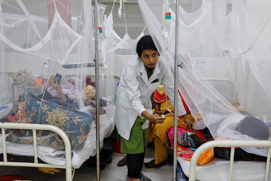 Dengue situation in Nadia, Murshidabad and North 24 Parganas are alarming.
