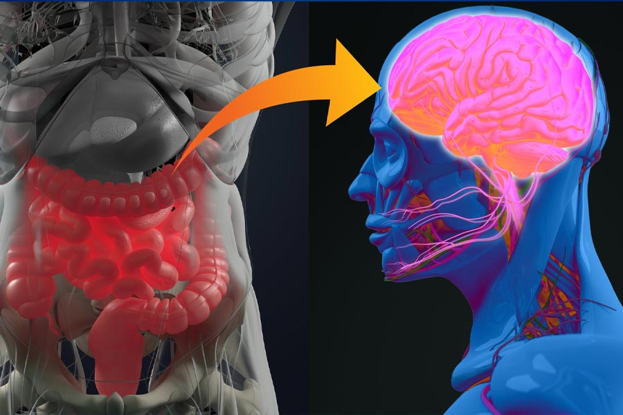 Parkinson’s may originate in the gut.