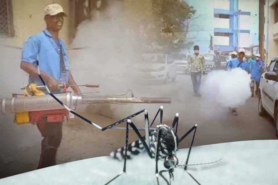 representational image of dengue