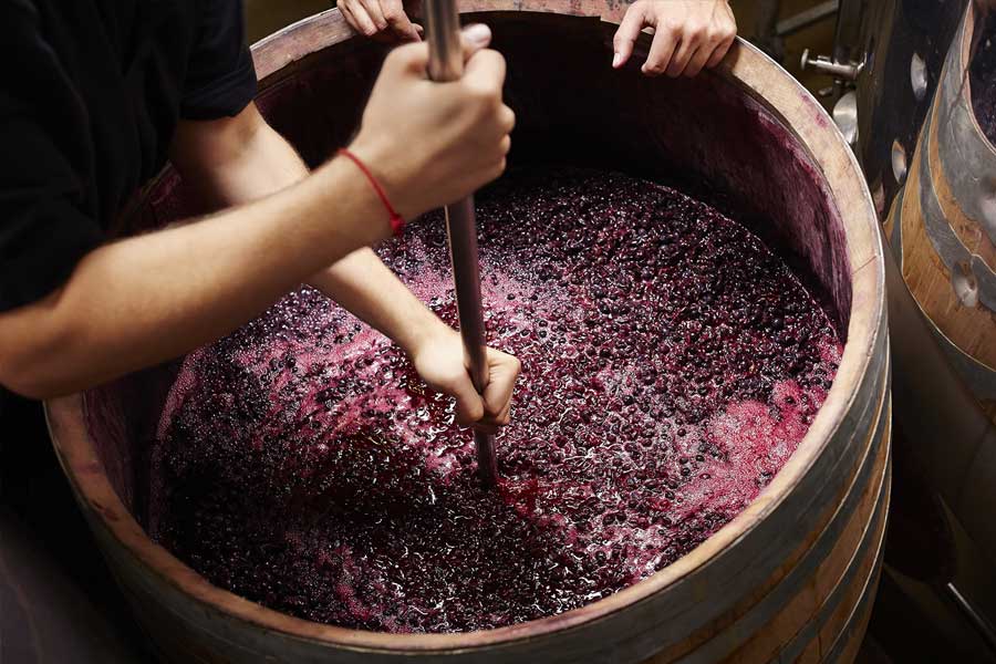 ধুঁকতে থাকা ওয়াইন শিল্পকে পুনরায় উজ্জীবিত করতে চায় ফ্রান্স সরকার। সে কথা মাথায় রেখেই মোটা অঙ্কের টাকা আবার এই ইন্ডাস্ট্রিতে ঢালা হচ্ছে। দেশের কৃষিমন্ত্রী জানিয়েছেন, ভবিষ্যতের দিকে তাকিয়ে ইন্ডাস্ট্রির পরিবর্তন প্রয়োজন।