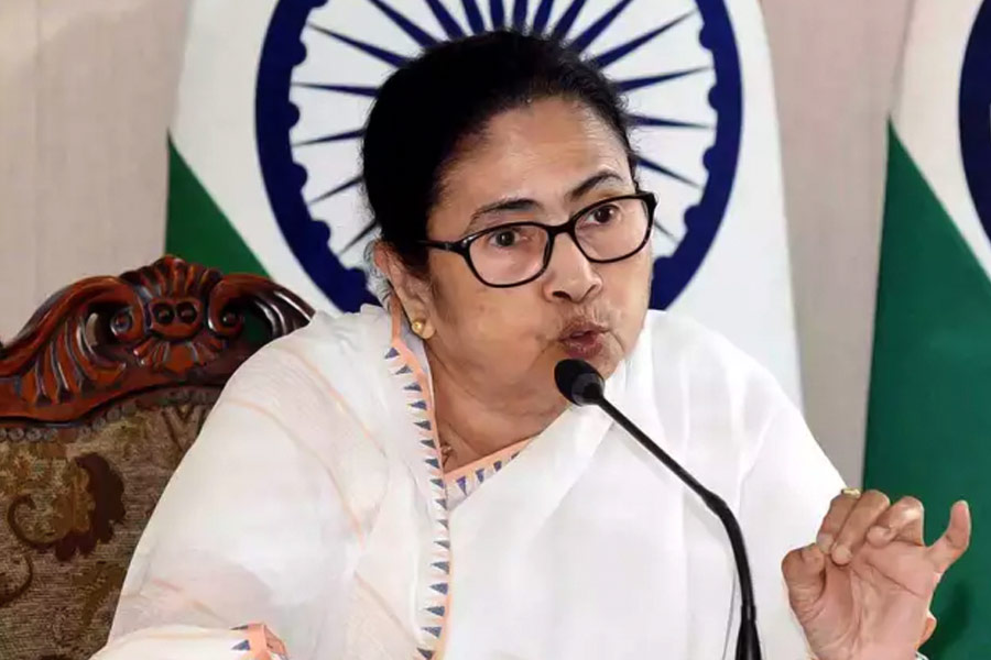 অবৈধ বাজি কারখানা বন্ধ করতে পুলিশকেও নির্দেশ দিয়েছিলেন মুখ্যমন্ত্রী, যিনি রাজ্যের পুলিশমন্ত্রীও বটে। তিনি অভিযোগ করেন, ভিন্‌রাজ্য থেকে অস্ত্র আমদানি করা হচ্ছে বাংলায়। ওড়িশার মতো পড়শি রাজ্যে শব্দবাজি যাচ্ছে বলেও জানান তিনি। 