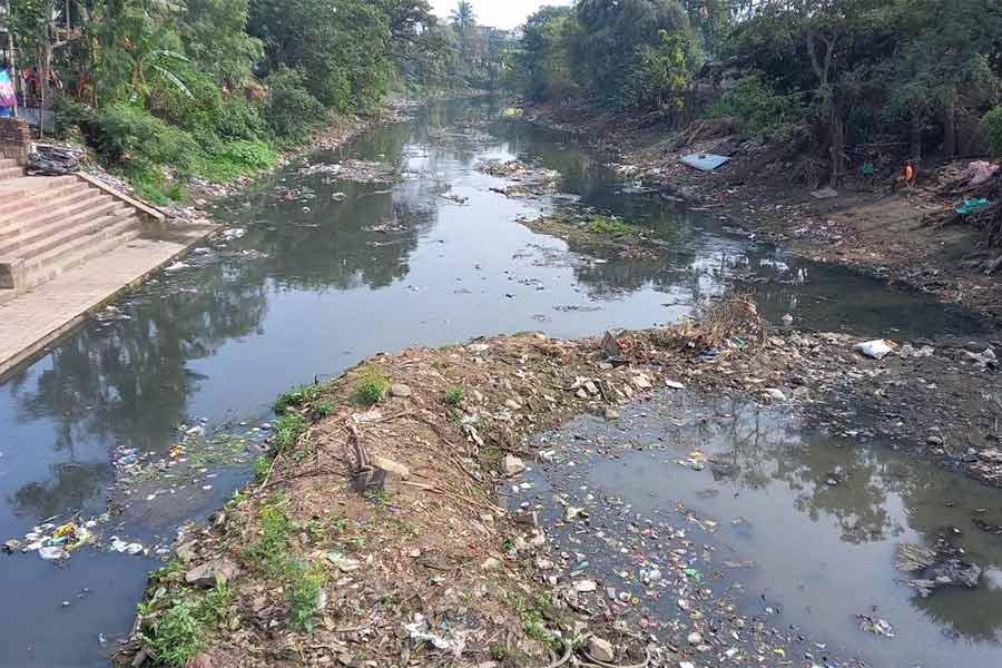 Save river campaign at Bardhaman