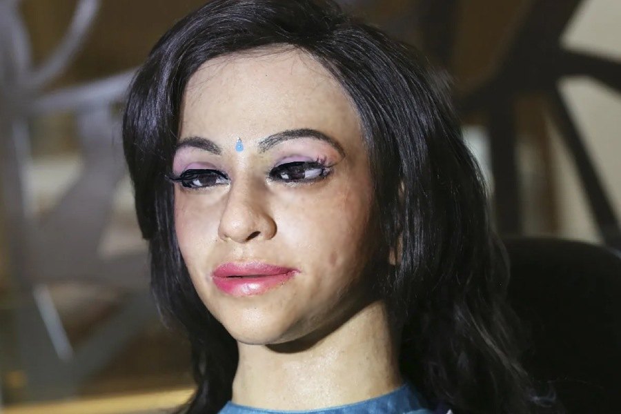 ব্যোম মিত্র একজন হিউম্যানয়েড। অর্থাৎ মানুষের মতো আচরণকারী রোবট। তবে শুধু সেটুকু বললে বোধ হয় তার পুরো পরিচয় দেওয়া হয় না। ভারতীয় পোশাকে সাজগোজ করা এই মহিলা রোবট আগামী দিনে মহাকাশেও পাড়ি দেবে ভারতের হয়ে। সে কথা মাথায় রেখেই তাকে তৈরি করেছে ভারতের মহাকাশ গবেষণা সংস্থা ইসরো।