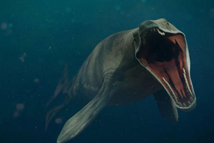 People of Scotland started operation to find mythical Loch Ness monster