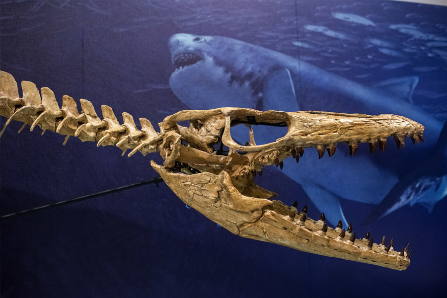 People of Scotland started operation to find mythical Loch Ness monster