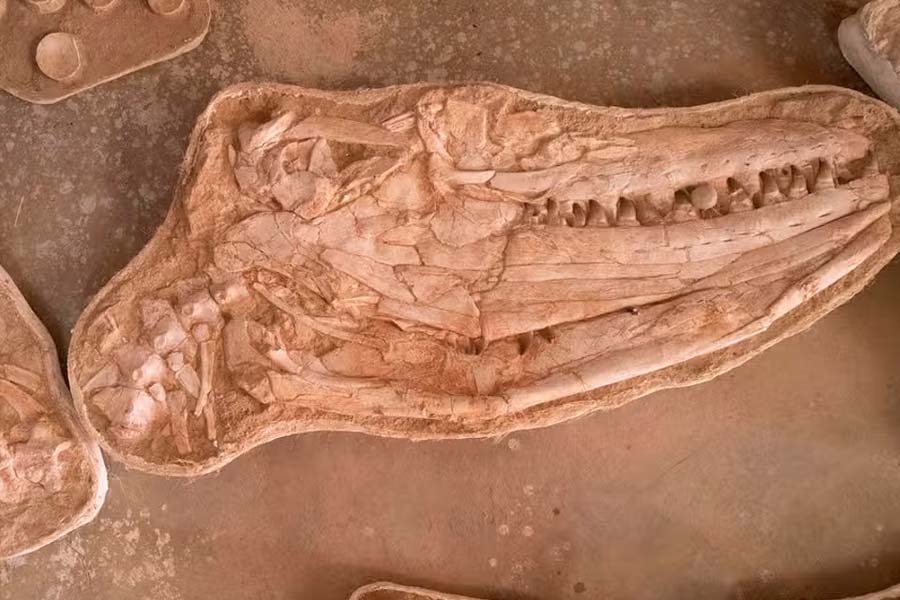 People of Scotland started operation to find mythical Loch Ness monster