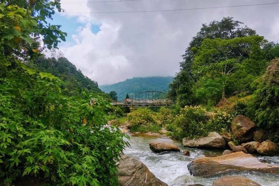 ৪. তাবাকোশি-   আপনি যদি চা বাগানের মাঝে সবুজে ঘেরা শান্তির সময় কাটাতে চান তাহলে গোপালধারা টি এস্টেটের কাছে ৮ কিমি দুরত্বে তাবাকোশি আপনার জন্য আদর্শ জায়গা। রংভাঙ নদীর পাশে। কলকাতা থেকে ৬০১ কিমি দুরত্বের এই জায়গায় পৌঁছনো খুবই সহজ।  শিলিগুড়ি থেকে মিরিক।  সেখান থেকে সোজা তাবাকোশি। এখানে এলে প্রকৃতির মাঝে অবসর কাটাতে গোপালধারা,  থার্বো,  সাংমার মতো নানা চা বাগান ঘুরে দেখতে পারেন। এখানে কমলালেবু, ভুট্টা, এলাচ আর আদার ক্ষেত অহরহ। তাবাকোশির খুব কাছে টারজাম জনবসতি। ঘুরে আসতে পারেন ওখানেও। 