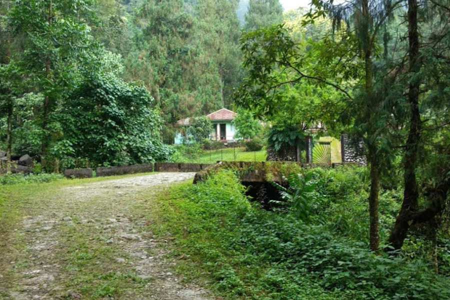 ৮. পারেন-    শিলিগুড়ি থেকে ১০৫ কিমি দূরত্ব পেরোলেই পারেন।  ডুয়ার্সের এক নিরিবিলি নির্জন পাহাড়ি গ্রাম। জঙ্গলের কোলে দু’তিনদিন কাটাতে চাইলে একদম না ভেবে চলে যেতে পারেন এখানে। ভুটান সীমান্তের একদম কাছে এই জনবসতির গা ঘেঁষে চলে গিয়েছে জলঢাকা নদী। এর কাছেই বিন্দু জলবিদ্যুৎ কেন্দ্র ও গোদাক,  তোদে গ্রামে ঘুরে আসতে পারেন চাইলে। এছাড়া পাহাড়ি জঙ্গল ঘেরা রাস্তায় হেঁটে সূর্যোদয় দেখার শখ থাকলে ভীষণ পছন্দ হতে পারে এই জায়গাটি।