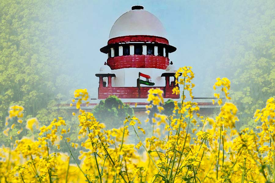 Environmental harm cannot be undone, SC defers hearing on Centre’s plea for withdrawal of undertaking on GM Mustard