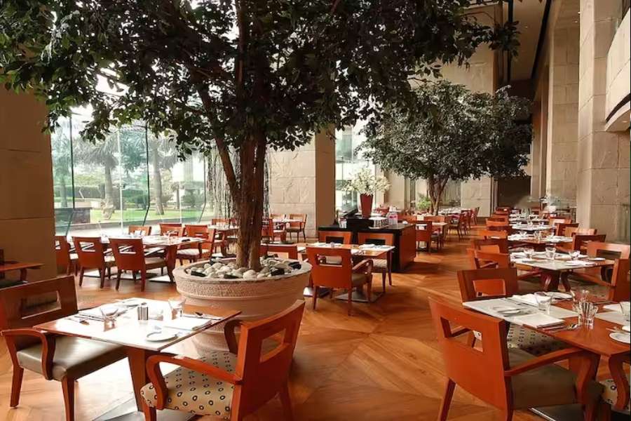 ওয়াটার সাইড ক্যাফে: ঠিকানা- জেএ ১, জেএ ব্লক, সেক্টর ৩, বিধান নগর সুইমিং পুলের ধারে বসে বান্ধবীর সঙ্গে অন্তরঙ্গ উষ্ণ সময় কাটাতে হলে আসতে হবে এই ক্যাফেতে। চাইলে সেরে নিতে পারেন মোমবাতির আলোয় রাতের খাবারটি।