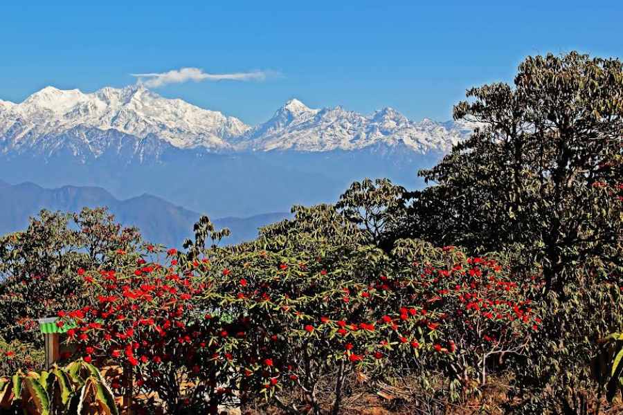 ছবি: লেখক