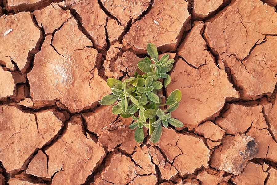 life expectancy of oxygen in Earth’s atmosphere