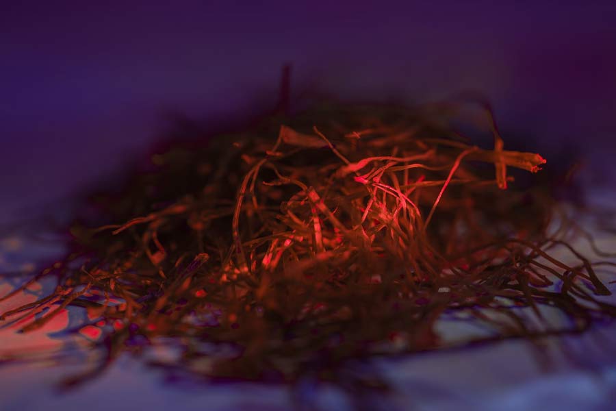 Why saffron production in Kashmir is decreasing