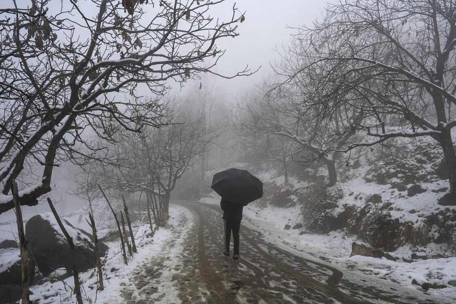 জম্মু-কাশ্মীরের পাশাপাশি হিমাচল প্রদেশেও জাঁকিয়ে ঠান্ডা পড়তে শুরু করেছে। পাহাড়ি এলাকায় শৈত্যপ্রবাহের মতো পরিস্থিতি সৃষ্টি হয়েছে। সঙ্গে চলছে তুষারপাতও। অন্য দিকে, পাহাড়ের নীচের অংশে বিক্ষিপ্ত ভাবে বৃষ্টি চলছে কয়েক দিন ধরে। ফলে তাপমাত্রা নামতে শুরু করেছে।