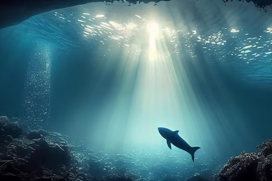 Earth water has reached into Earth's core says a group of scientists