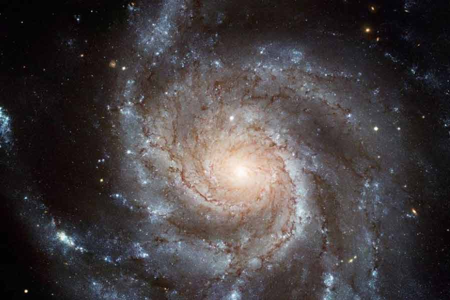 ট্রিস্কেলিয়নে ব্যবহৃত সর্পিলাকার রেখাগুলি মহাবিশ্বের সঙ্গে সংশ্লিষ্ট বলে জানায় আধুনিক বিজ্ঞান। সর্পিলাকার ছায়াপথের গতি ও প্রকৃতি ব্যাখ্যা করতে আর্কিমেডিয়ান স্পাইরালের গাণিতিক সূত্র প্রয়োগ করা হয়।