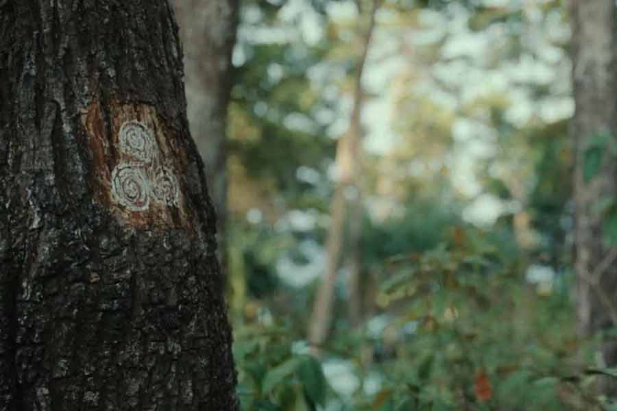 এখন প্রশ্ন, ট্রিস্কেলিয়ন কেন ব্যবহৃত হল ‘কালা পানি’ সিরিজ়ে? সিরিজ়টির মুখ্য উপজীব্য, প্রগতির নামে প্রকৃতির বিরুদ্ধাচরণ কোন মারাত্মক বিপদকে নিয়ে আসতে পারে তার স্বরূপ তুলে ধরা। ট্রিস্কেলিয়ন এখানে ত্রিকাল, ত্রিলোক এবং আকাশ-মাটি-জলের মতো প্রাকৃতিক বিষয়ের প্রতিনিধিত্ব করছে।