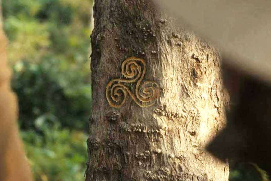 এই সিরিজ়ে ওরাকা নামে যে কল্পিত জনজাতিকে দেখানো  হয়েছে, ট্রিস্কেলিয়ন তাদেরই সম্প্রদায়েরই পবিত্র প্রতীক। ওরাকারা প্রকৃতির সঙ্গে নিবিড় ভাবে সংশ্লিষ্ট। তাদের মধ্যে রয়েছে সেই ‘আদিম জ্ঞান’, যা থেকে তথাকথিত প্রগতি সভ্যতাকে বঞ্চিত করেছে। নাগরিক সংস্কৃতির চাপে ‘জনজাতি’ তকমা দিয়ে  ওরাকাদের মতো শতসহস্র মানবগোষ্ঠীকে দূরে সরিয়ে রাখা হয়েছে। কিন্তু, প্রাকৃতিক দুঃসময়ে এরা যে আশ্চর্য ভাবে নিজেদের বাঁচাতে জানে, তা প্রগতির ব্যাকরণ বুঝেও না বোঝার ভান করে। ট্রিস্কেলিয়ন এখানে সেই আদিম জ্ঞানের প্রতীক।