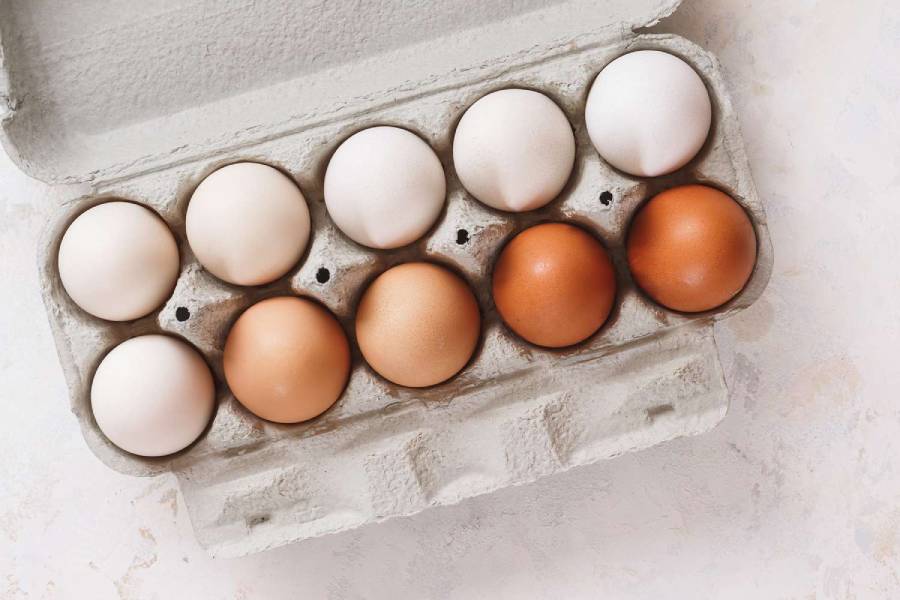 Do brown eggs have more nutrients than white eggs.