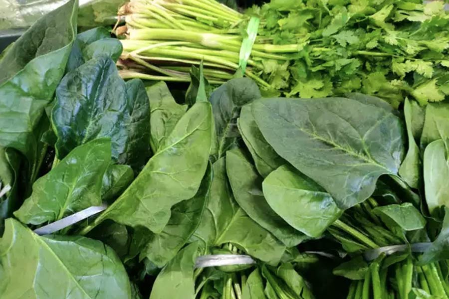 Five healthy green leaves you must add to your diet.