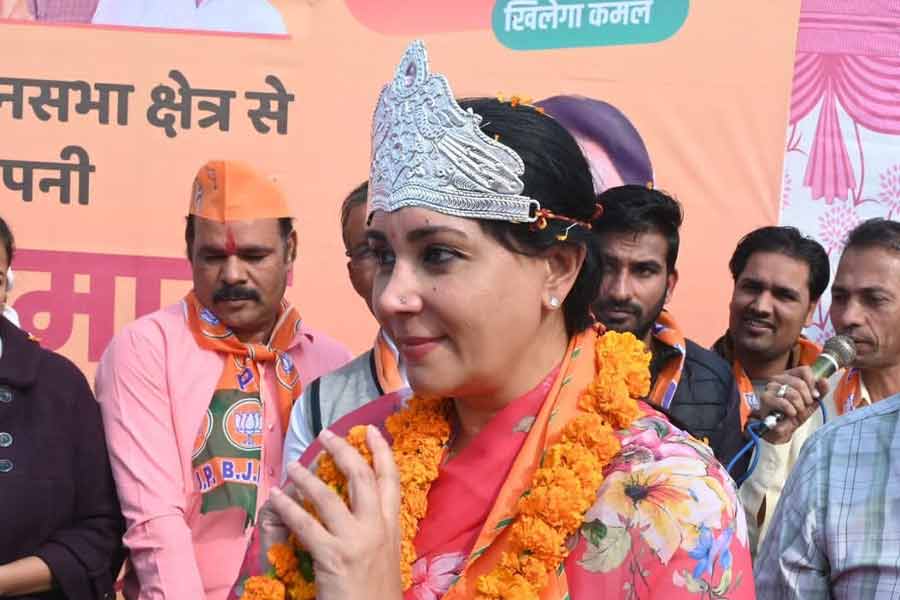 বিতর্কিত মন্তব্য করেছেন বেশ কয়েক বার। অযোধ্যা মামলার শুনানির সময় দাবি করেছিলেন, তিনি রামের বংশধর। তার প্রমাণও দিতে পারেন। ২০২২ সালে তিনি দাবি করেন, জয়পুরের মহারাজা জয় সিংহের জমিতেই মুঘল সম্রাট শাহজহান তাজমহল তৈরি করেছিলেন। তাজমহল গড়ার জন্য জমি নেওয়ার বিনিময়ে জয়পুরের রাজা জয় সিংহকে সম্রাট শাহজহান ক্ষতিপুরণ দিয়েছিলেন বলেও দাবি করেছিলেন দিয়া।