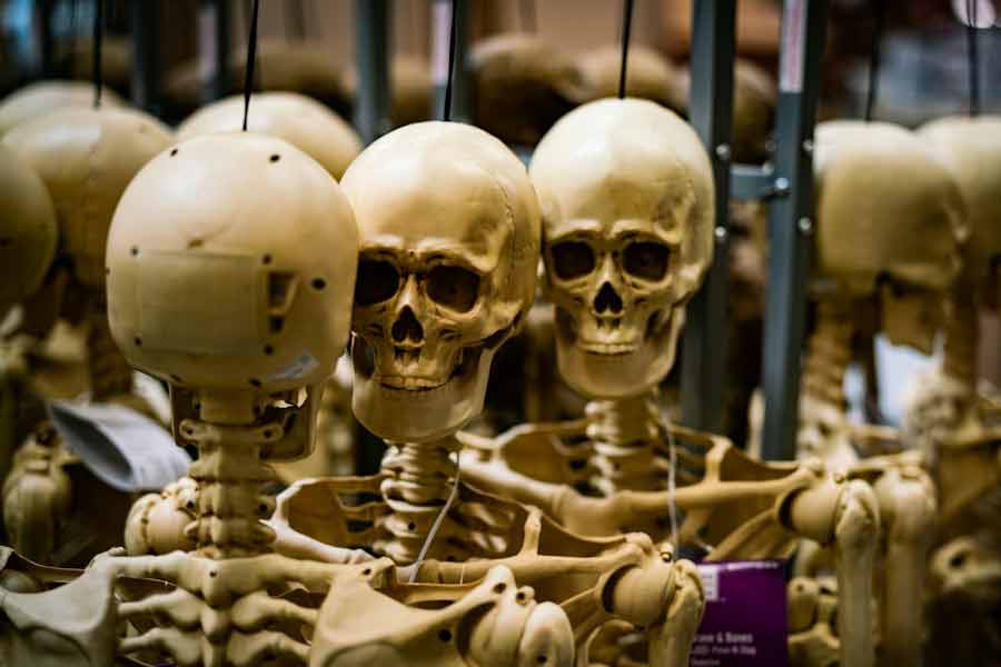 পুরনো জিনিসের প্রতি বড্ড মায়া হবিটদের। সে জিনিস কোনও কাজে না লাগলেও তারা কাছছাড়া করতে চায় না।  ফেলে দিতেও চায় না। এই ধরনের জিনিসের একটা নামও রয়েছে হবিটদের দুনিয়ায়। ‘মাথম’। হবিটেরা মাথম উপহার হিসাবে দেয়। কিন্তু কখনও-সখনও দেখা যায়, এই মাথম আবার ঘুরেফিরে চলে এসেছে তার আসল মালিকের কাছেই। তেমন যখন হয়, তখনকার মাথমটির মালিক তাকে দিয়ে দেয় হবিটদের মাথম জাদুঘরে।