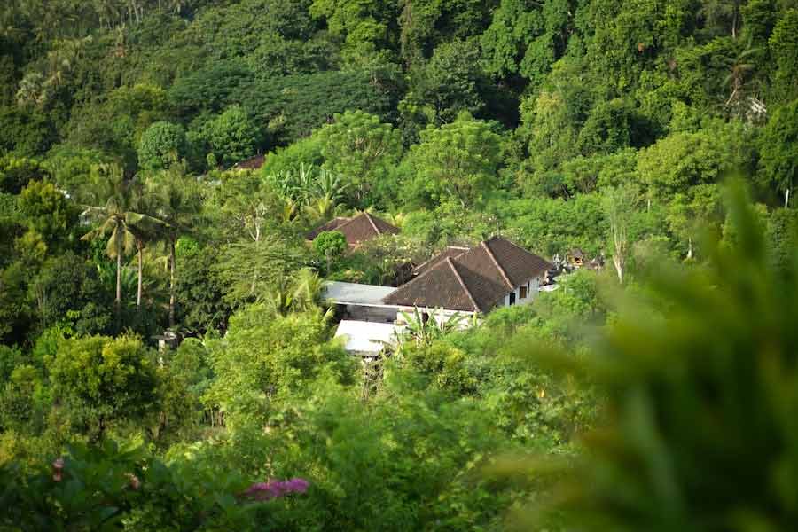 অবিশ্বাসীরা বলতে পারেন, এ সব তো ফ্যান্টাসি লেখক টলকিনের কল্পনার কথা। কিন্তু ইতিহাস বলছে, হবিটদের অস্তিত্ব সত্যিই ছিল এই পৃথিবীতে। বিজ্ঞানীরা তাদের কঙ্কালও খুঁজে পেয়েছিলেন। কিন্তু সেই সঙ্গে এ-ও জানিয়েছিলেন, ১২ হাজার বছর আগেই নির্বংশ হয়ে গিয়েছিল হবিটেরা। তবে তার আগে পৃথিবীতে তারা টিকেছিল প্রায় ৫০ হাজার বছর।