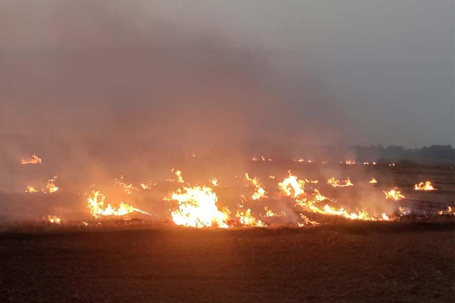 farmers choose stubb