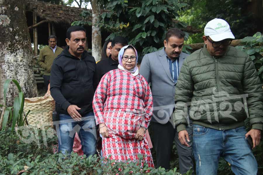 বৃহস্পতিবার দুপুরে কার্শিয়াঙের যে রিসর্টে মুখ্যমন্ত্রী থাকছেন, সেখান থেকে পাঙ্খাবাড়ি রোডের চা বাগানে পৌঁছন মুখ্যমন্ত্রী মমতা। তবে আর পাঁচ জন যে ভাবে উত্তরের চা বাগান ঘুরে দেখেন, সে ভাবে নয়, মমতা চা বাগান ঘুরে দেখলেন চা শ্রমিকের মতো করেই। শিখলেন গাছ থেকে পাতা তোলার কায়দা। চা শ্রমিকদের আদলে মাথার পিছনে বেঁধে নিলেন ঝুড়ি। 