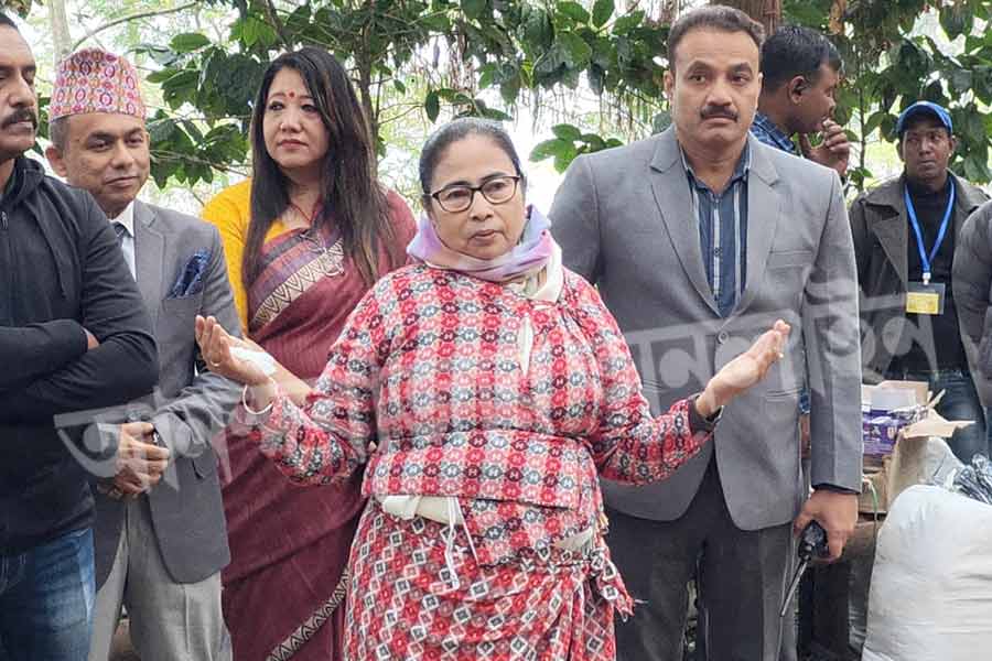 তবে, মমতা আছেন আর গল্পগুজব নেই, তা তো হতে পারে না। বিশেষত, মুখ্যমন্ত্রী যখন খোশমেজাজে! পাতা তোলায় এক বার অভ্যস্ত হয়ে যাওয়ার পর মুখ্যমন্ত্রী গল্প শুরু করেন আশপাশে কর্মরত শ্রমিকদের সঙ্গে। তাঁরা রাজ্যের প্রশাসনিক প্রধানকে এই রূপে দেখে প্রাথমিক ভাবে একটি ঘাবড়ে গিয়েছিলেন।