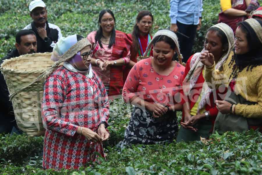 সময় যত গড়িয়েছে, ততই স্বাভাবিক হয়েছে সম্পর্ক। বেশ কিছু ক্ষণ পর বাগানের দৃশ্য দেখে কে বলবে, চা শ্রমিকদের সঙ্গেই রয়েছেন রাজ্যের মুখ্যমন্ত্রী! 
