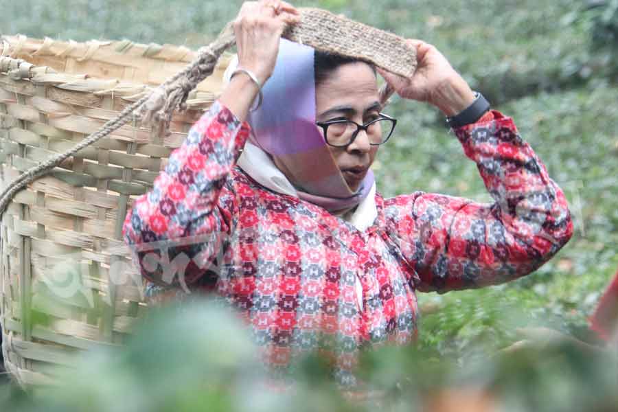 মুখ্যমন্ত্রীর জানা ছিল সেই গানের কথা। তিনি পাতা তুলতে তুলতে শ্রমিকদের তিনি সেই গানের কথা জিজ্ঞেস করেন। শ্রমিকরা তাঁকে জানান, সেই গান তাঁরাও গেয়ে থাকেন। সঙ্গে সঙ্গে রাজ্যের মুখ্যমন্ত্রী তাঁদের বলে ওঠেন, ‘‘গেয়ে শোনাও তো!’’ 