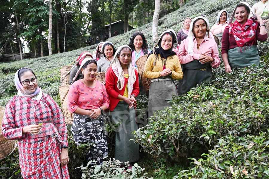 আবেশ এবং দীক্ষার বিয়ের ইঙ্গিত আগেই দিয়েছিলেন মুখ্যমন্ত্রী মমতা বন্দ্যোপাধ্যায়। গত মার্চে উত্তরবঙ্গ সফরে এসে তিনি জানিয়েছিলেন, পাহাড়ের মেয়েকে বাড়ির বৌমা করে নিয়ে যাবেন তিনি। 