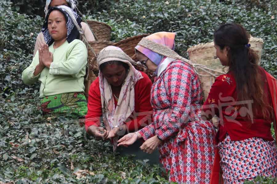 পারিবারিক সূত্রে খবর, মুখ্যমন্ত্রী এমনিতেও পারিবারিক অনুষ্ঠানে খুব একটা যোগ দেন না।