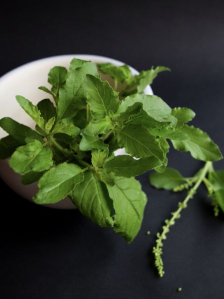 Keep this special tulsi kadha in your diet to reduce weight rapidly dgtl