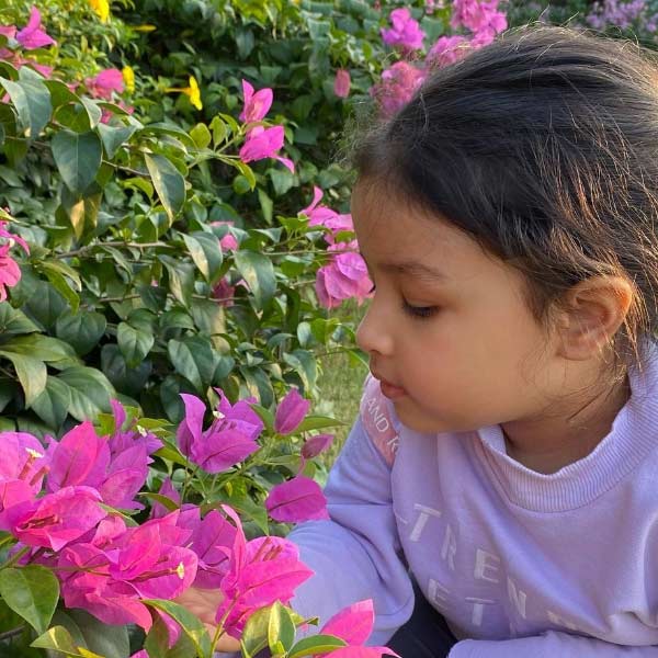 অমিতের স্কুল দেশের সেরা স্কুলগুলির মধ্যে জায়গা করে নিয়েছে তাদের পড়াশোনা করানোর ধরনের জন্য।