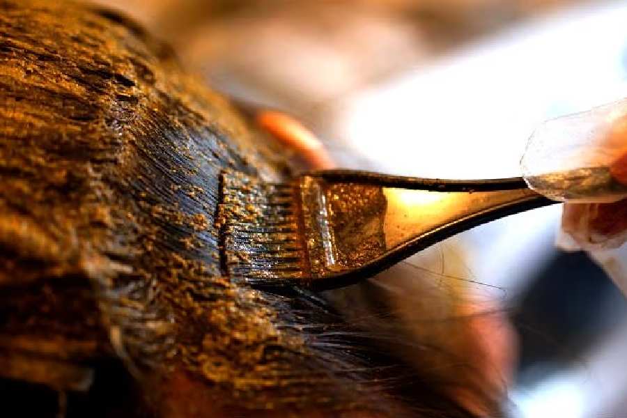 How henna can provide deep conditioning to dry hair in winters.
