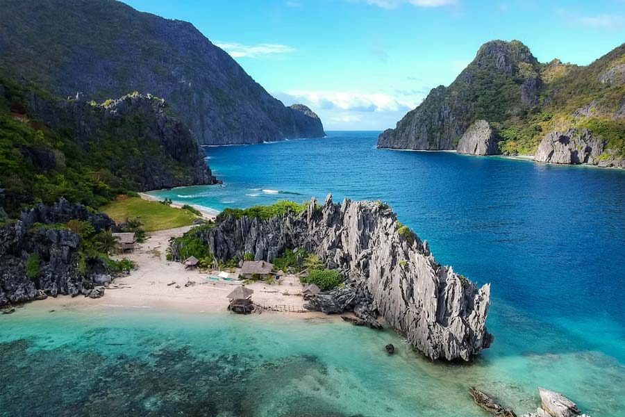 প্রশান্ত মহাসাগরের বুকে ওশিকা উপদ্বীপের কাছে রয়েছে তাশিরোজিমা দ্বীপ। জাপানের এই দ্বীপে মানুষের চেয়েও বেশি ঘোরাফেরা করতে দেখা যায় বিড়ালদের।