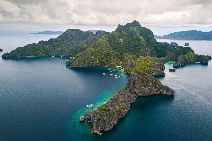 শুধুমাত্র পোষ্য নয়, তাশিরোজিমা দ্বীপের পথেঘাটে যে বিড়ালগুলি ঘুরে বেড়ায়, তাদের সৌভাগ্যের প্রতীক হিসাবে গণ্য করেন সেই দ্বীপের বাসিন্দারা।