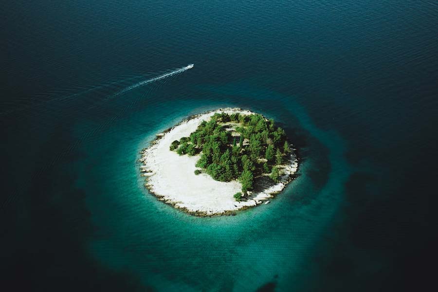 পরিসংখ্যান অনুযায়ী তাশিরোজিমা দ্বীপে যাঁরা বসবাস করেন তাঁদের মধ্যে ৮৩ শতাংশ অধিবাসীর বয়স ৬০ বছরের বেশি। এমনকি ৫০ শতাংশের বয়স ৬৫ বছরের বেশি।