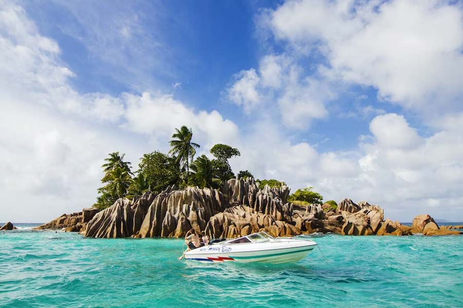 বর্তমানে তাশিরোজিমা দ্বীপে যাঁরা বাস করেন তাঁরা সাধারণত মাছ ধরে অথবা পর্যটকদের আতিথেয়তার সঙ্গে যুক্ত থেকে তাঁদের জীবিকা নির্বাহ করে থাকেন। এই দ্বীপে মানুষের চেয়ে বিড়ালের সংখ্যা বেশি থাকার কাহিনি শুনলে অবাক হতে হয় বইকি।