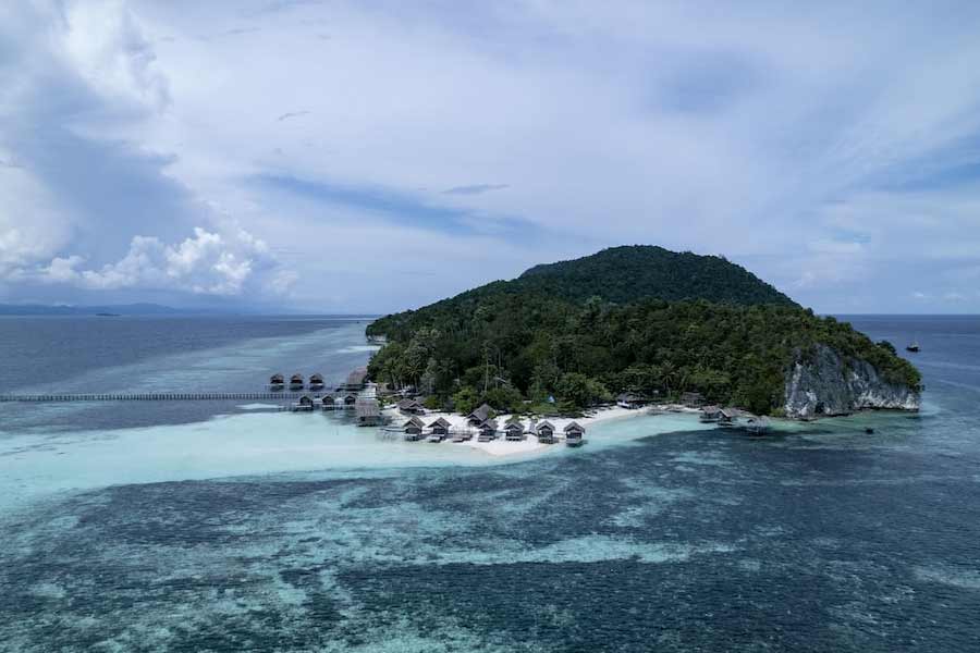 জাপানের টোকিয়ো শহরের দক্ষিণ-পশ্চিমে অবস্থিত এনোশিমা দ্বীপ। শোনা যায় ১৯৮০ সাল থেকে এই দ্বীপে বিড়ালের সংখ্যা বৃদ্ধি পেতে শুরু করে। এই দ্বীপেও পর্যটকেরা ‘সার্ফিং’ এবং ‘সান বাথিং’-এর জন্য ভিড় জমান।