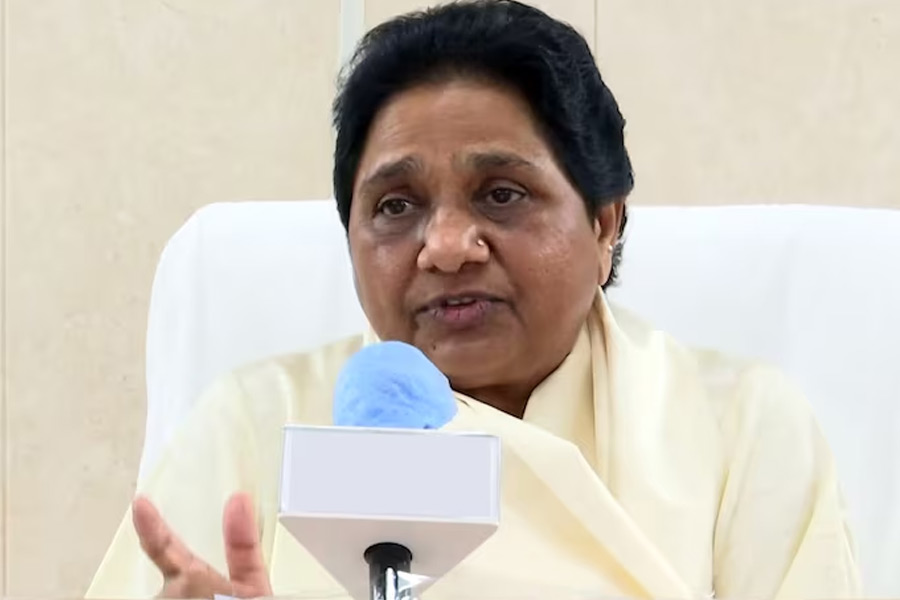 দলের অনেকেই মনে করেন আকাশকে নিজের উত্তরসুরী হিসাবে অনেক আগে থেকেই ভেবে রেখেছিলেন মায়াবতী। সেই ভাবনাকে মাথায় রেখেই ধীরে ধীরে নিজে হাতে আকাশকে গড়ে পিটে নিয়েছেন তিনি।