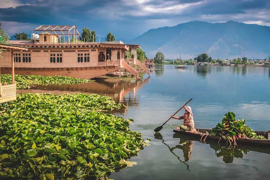 বিরোধী দলগুলির অভিযোগ, জনবিন্যাস কিংবা জনসংখ্যার ভিত্তিতে নয়, রাজনৈতিক কারণেই বিধানসভায় জম্মুর জন্য আসন বাড়িয়ে উপত্যকাকে কব্জা করতে চাইছে বিজেপি।