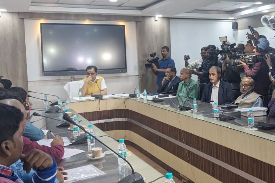 নিজস্ব চিত্র। 