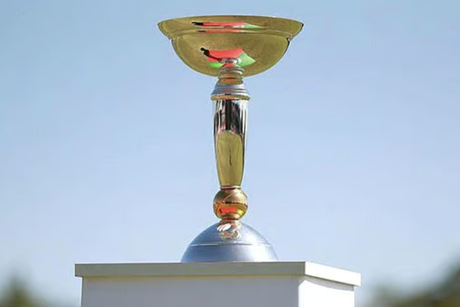 picture of U19 World Cup Trophy
