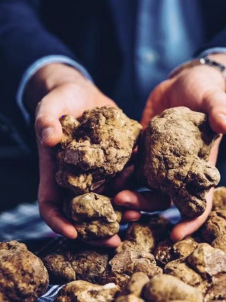 Seven Most Expensive foods in the world and their speciality dgtl